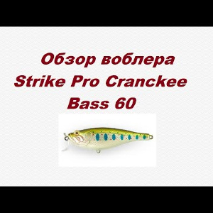 Видеообзор Strike Pro Cranckee Bass 60 по заказу Fmagazin.