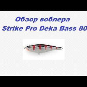 Видеообзор Strike Pro Deka Bass 80 по заказу Fmagazin.