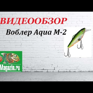 Видеообзор Воблера Aqua M-2 по заказу Fmagazin.