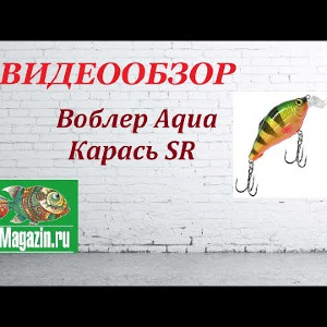 Видеообзор Воблера Aqua Карась SR по заказу Fmagazin.