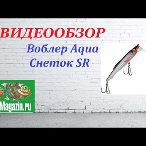 Видеообзор Воблера Aqua Снеток SR по заказу Fmagazin.