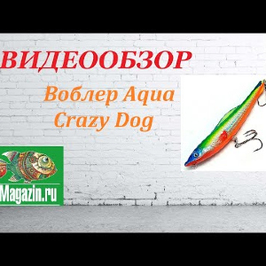 Видеообзор Воблера Aqua Crazy Dog по заказу Fmagazin.