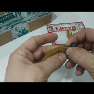Видеообзор имитации личинки стрекозы Fanatik Larva по заказу Fmagazin