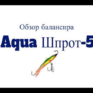 Видеообзор балансира Aqua Шпрот-5 по заказу Fmagazin