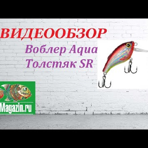 Видеообзор Воблера Aqua Толстяк SR по заказу Fmagazin.