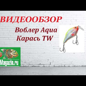 Видеообзор Воблера Aqua Карась TW по заказу Fmagazin.