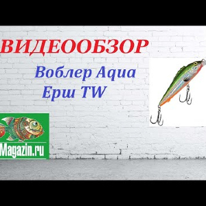 Видеообзор Воблера Aqua Ерш TW по заказу Fmagazin.