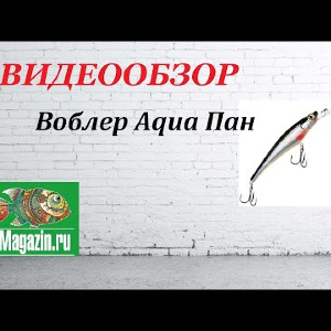 Видеообзор Воблера Aqua Пан по заказу Fmagazin.