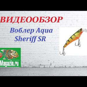 Видеообзор Воблера Aqua Sheriff SR по заказу Fmagazin.