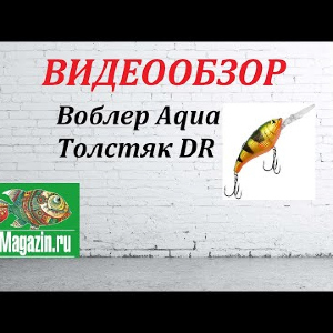 Видеообзор Воблера Aqua Толстяк DR по заказу Fmagazin.