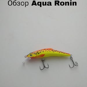 Видеообзор воблера Aqua Ronin