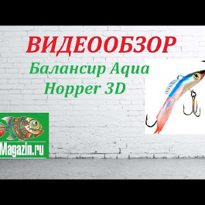 Видеообзор Балансира Aqua Hopper 3D по заказу Fmagazin.