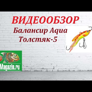 Видеообзор Балансира Aqua Толстяк-5 по заказу Fmagazin.