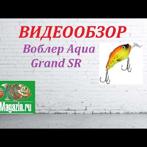 Видеообзор Воблера Aqua Grand SR по заказу Fmagazin.