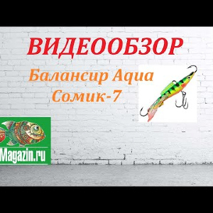 Видеообзор Балансира Aqua Сомик-7 по заказу Fmagazin.