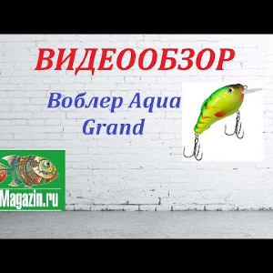 Видеообзор Воблера Aqua Grand по заказу Fmagazin.