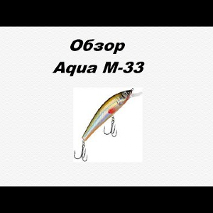 Видеообзор Aqua M-33 по заказу Fmagazin.