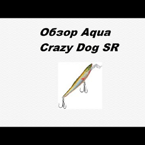 Видеообзор Aqua Crazy Dog SR по заказу Fmagazin.