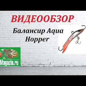Видеообзор Балансира Aqua Hopper по заказу магазина Fmagazin.