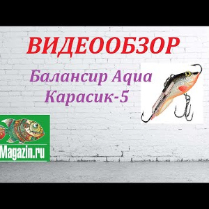 Видеообзор Балансира Aqua Карасик-5 по заказу Fmagazin.