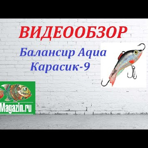 Видеообзор Балансира Aqua Карасик-9 по заказу Fmagazin.