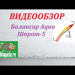 Видеообзор Балансира Aqua Шпрот-5 по заказу магазина Fmagazin.