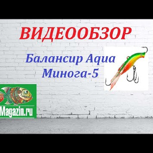 Видеообзор Балансира Aqua Минога-5 по заказу Fmagazin.