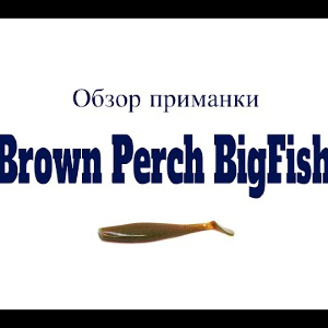 Видеообзор силиконовой приманки Brown Perch BigFish по заказу Fmagazin