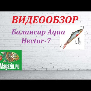 Видеообзор Балансира Aqua Hector-7 по заказу Fmagazin.