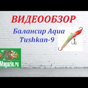 Видеообзор Балансира Aqua Tushkan-9 по заказу Fmagazin.