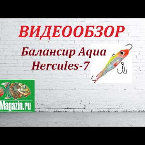 Видеообзор Балансира Aqua Hercules-7 по заказу Fmagazin.