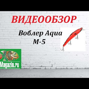 Видеообзор Воблера Aqua M-5 по заказу Fmagazin.