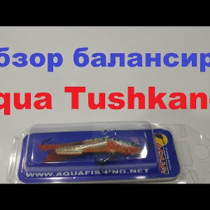 Видеообзор интересного балансира Aqua Tushkan-3 по заказу Fmagazin