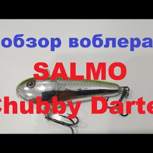 Видеообзор раттлина SALMO Chubby Darter по заказу Fmagazin