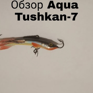 Видеообзор балансира Aqua Tushkan-7