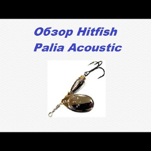 Видеообзор Hitfish Palia Acoustic по заказу Fmagazin.