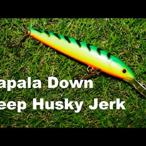 Обзор воблера Rapala Down Deep Husky Jerk по заказу Fmagazin