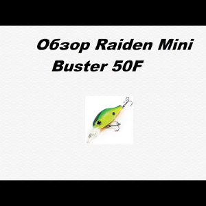 Видеообзор Raiden Mini Buster 50F по заказу Fmagazin.