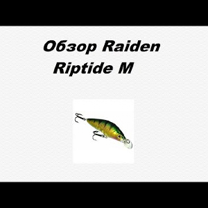 Видеообзор Raiden Riptide M по заказу Fmagazin.