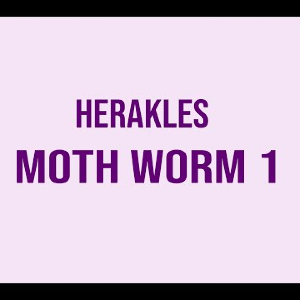 Видеообзор Herakles Moth Worm 1 по заказу Fmagazin