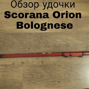 Обзор Scorana Orion Bolognese по заказу Fmagazin