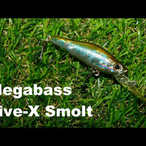 Обзор воблера Megabass Live-X Smolt по заказу Fmagazin