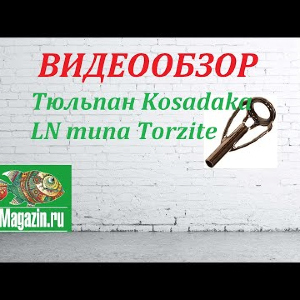 Видеообзор Тюльпана Kosadaka LN по типу Torzite по заказу Fmagazin.
