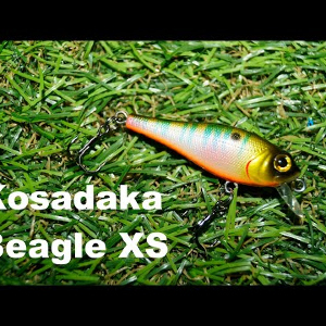 Обзор воблера Kosadaka Beagle XS по заказу Fmagazin