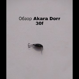 Обзор Akara Dorr 30F по заказу Fmagazin