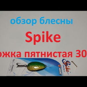 Видеообзор колебалки Spike Ложка пятнистая 3017 по заказу Fmagazin