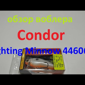 Видеообзор воблера Condor Fighting Minnow 446065 по заказу Fmagazin