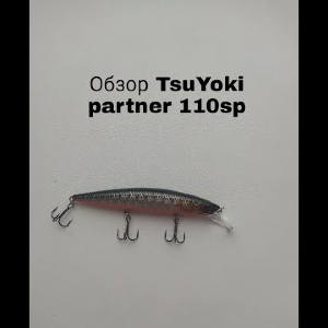 Обзор TsuYoki Partner 110SP по заказу Fmagazin