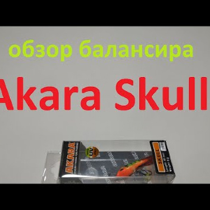 Видеообзор балансира Akara Skull по заказу Fmagazin