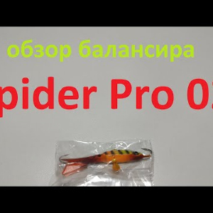 Видеообзор балансира Spider Pro 02 (неоснащенный) по заказу Fmagazin